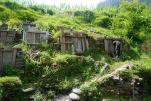 View original image source.