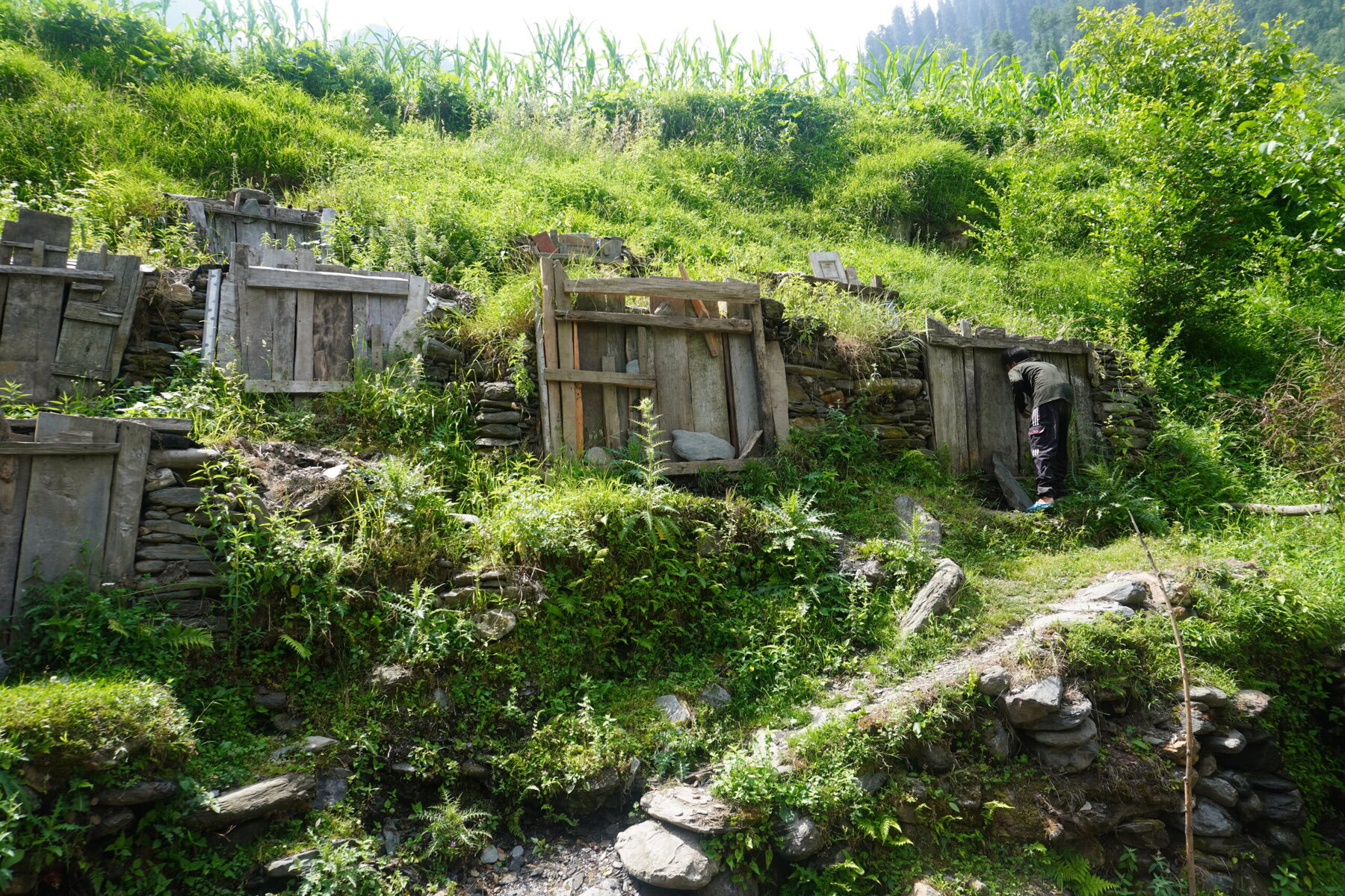 View original image source.