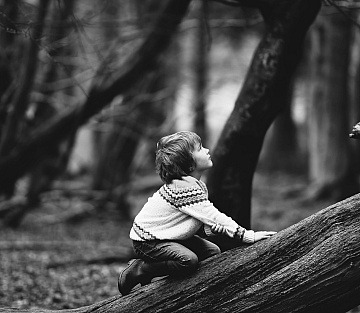 View original image source.