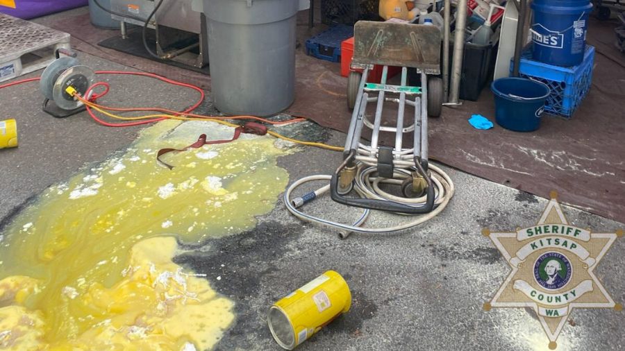 View original image source.