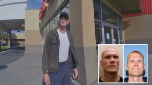 View original image source.