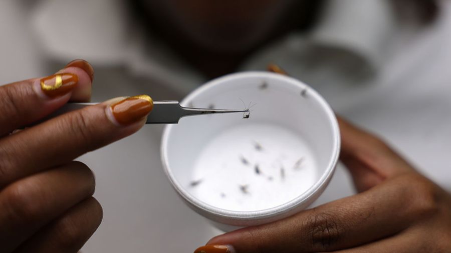 View original image source.