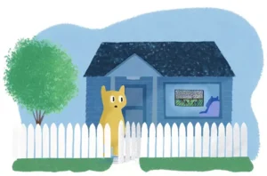 View original image source.