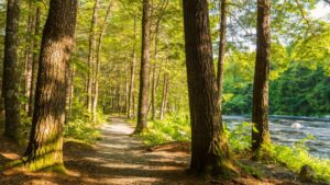 View original image source.