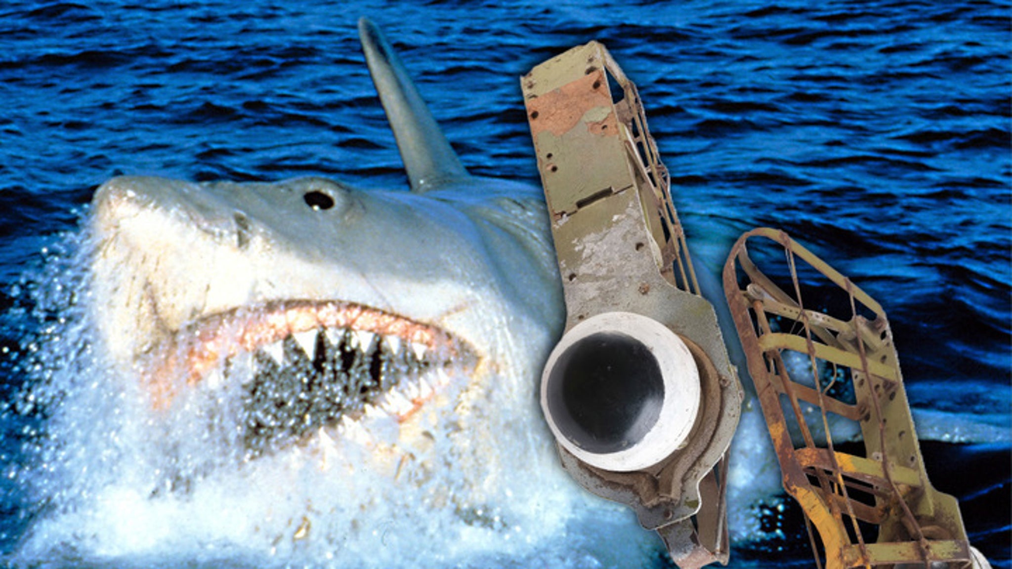 View original image source.