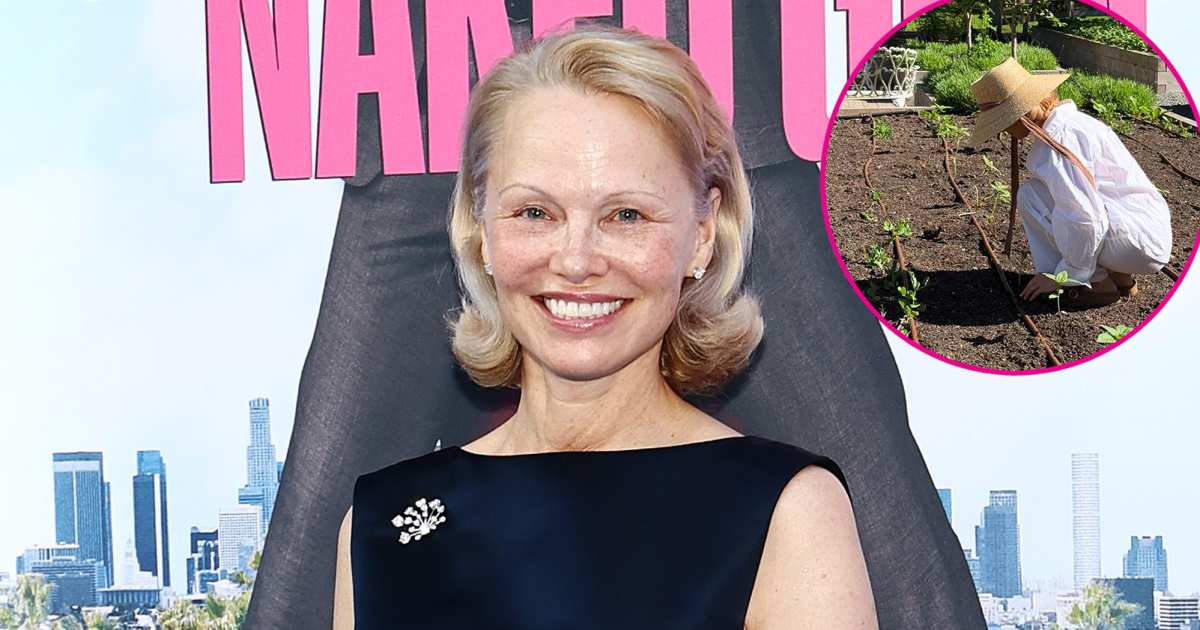 View original image source.