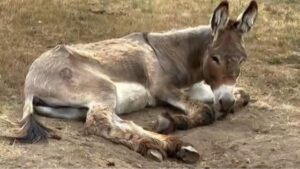 View original image source.