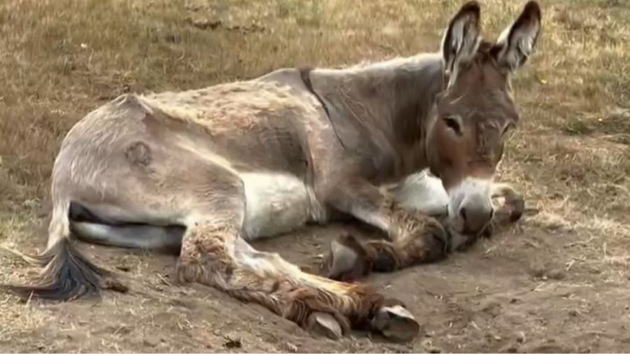 View original image source.