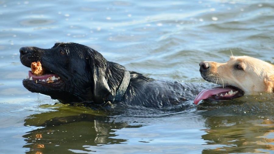 View original image source.