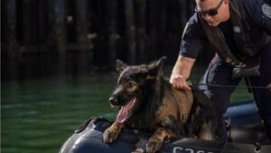 View original image source.