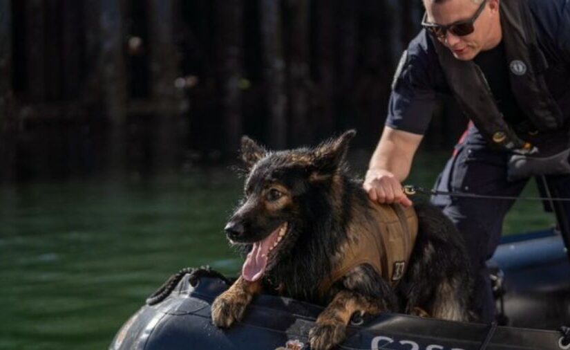 View original image source.