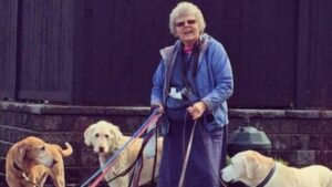 View original image source.