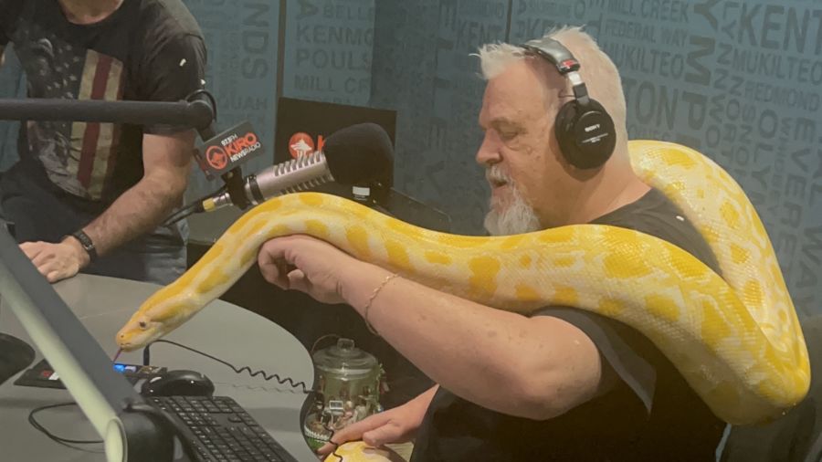 View original image source.