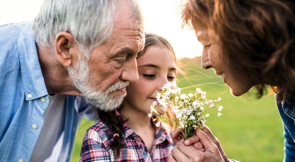 View original image source.