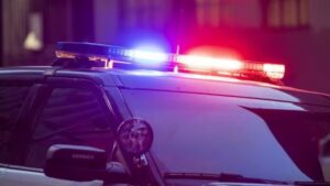 View original image source.