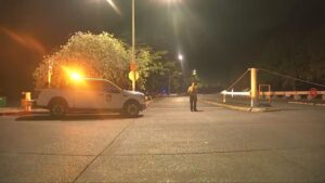 View original image source.