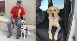 View original image source.