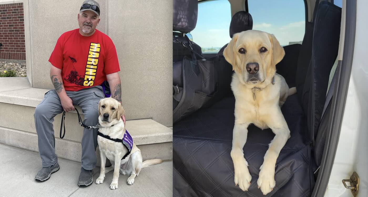 View original image source.