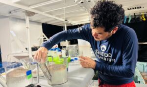 View original image source.