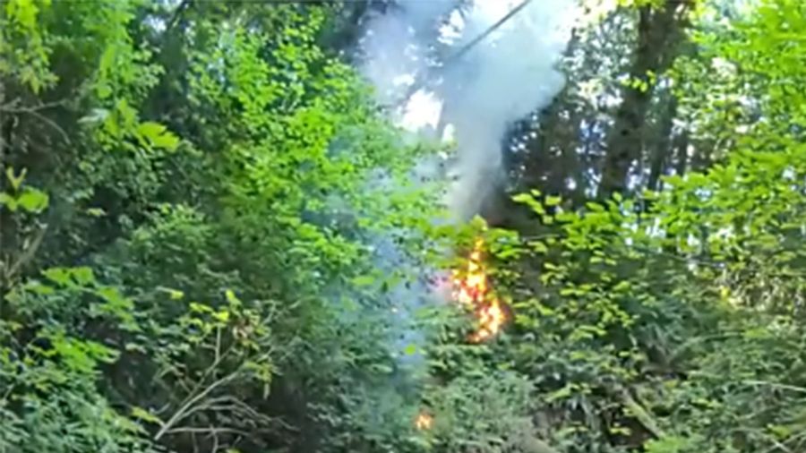 View original image source.