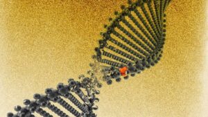 View original image source.