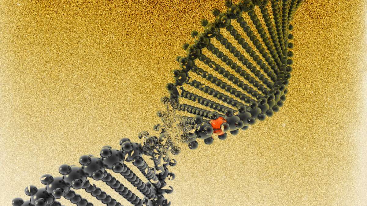 View original image source.