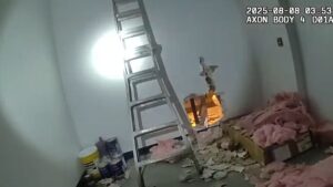 View original image source.