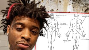 View original image source.