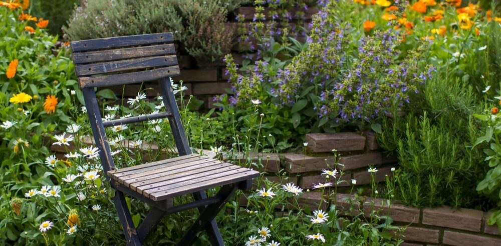 View original image source.