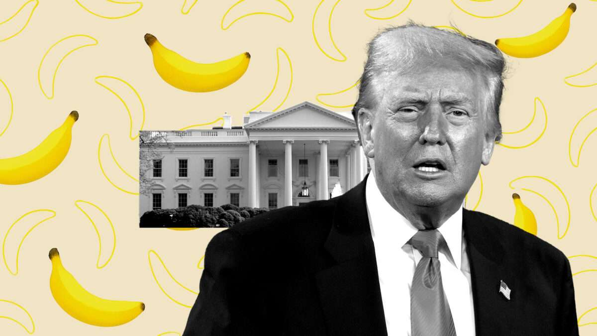 View original image source.