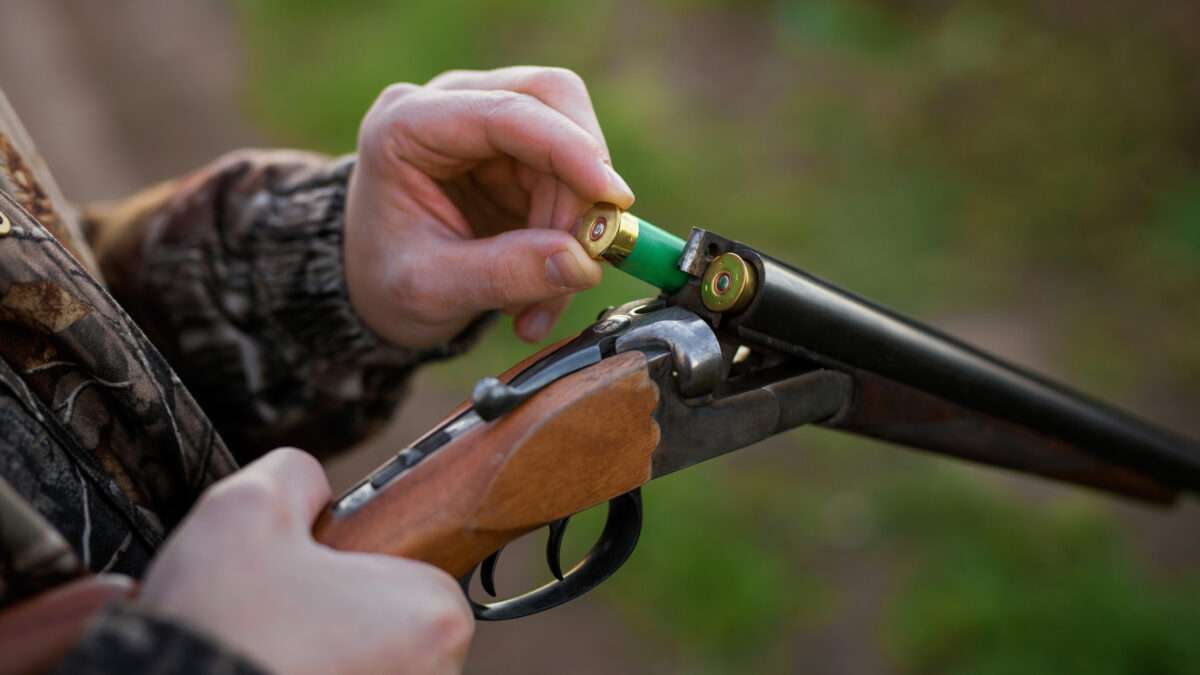 View original image source.