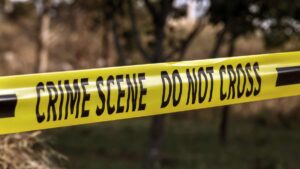 View original image source.