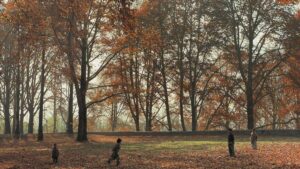 View original image source.