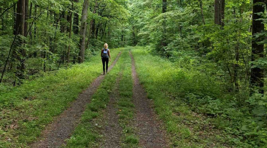 View original image source.