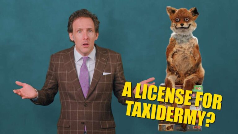 View original image source.