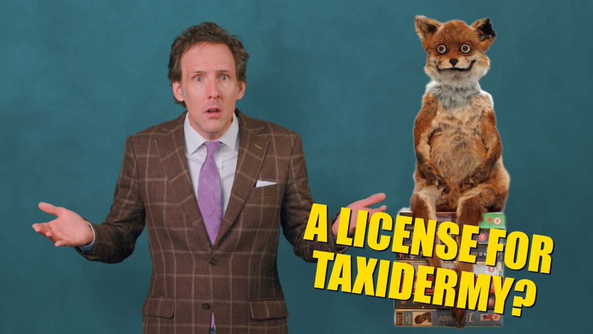 View original image source.