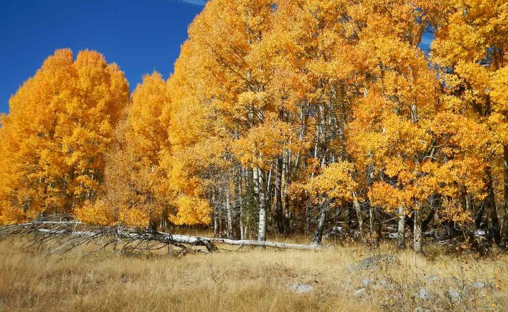 View original image source.