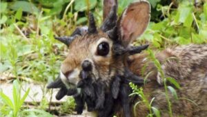 View original image source.